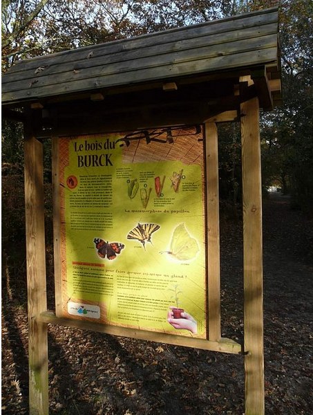 Bois du Burck, Mérignac - photo 2