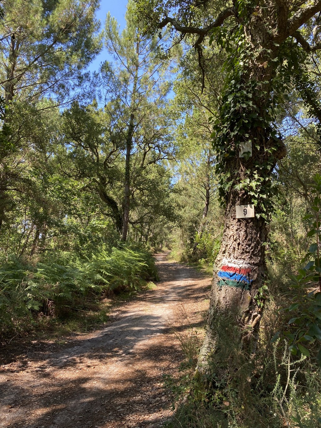 Sentier Lou coupe-came - photo 4