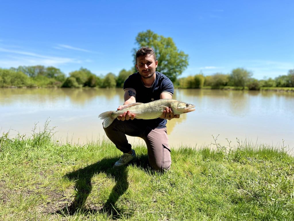 L'Étang de la Barbade, Moussac - photo 9
