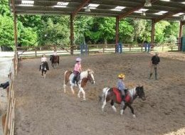 Centre Equestre et Poney Club La Métairie du Roc
