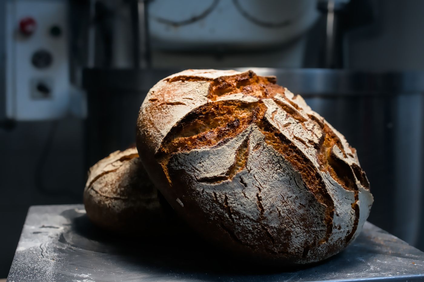 Le Pain d'Ici, Oloron-Sainte-Marie - photo 12