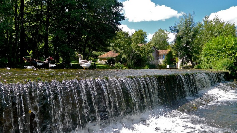 Gîte La Gloriette du Moulin des Bigoussies, Saint-Méard-de-Drône - photo 8