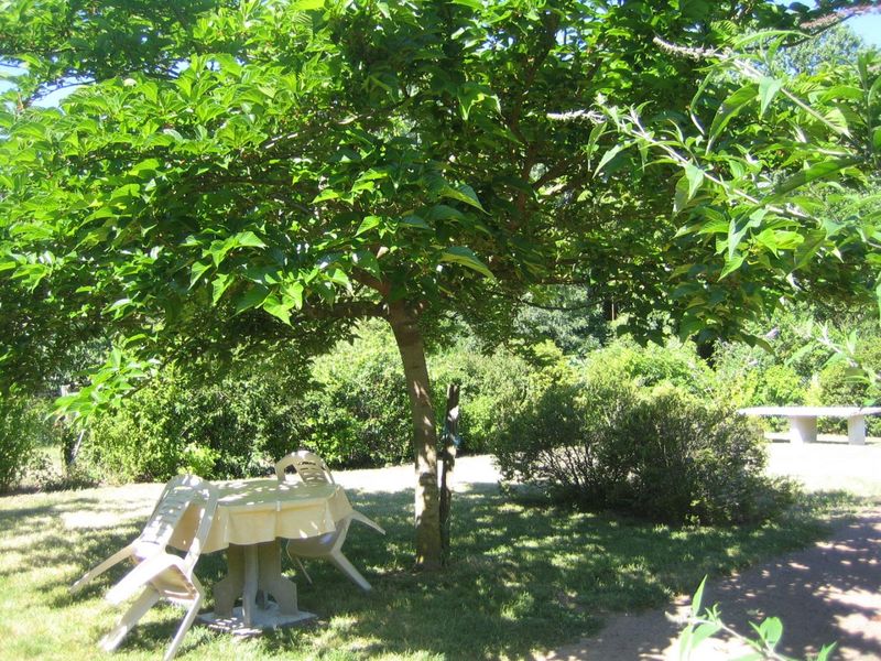 Chez Jeannick, Saint-Martin-de-Sanzay - photo 7