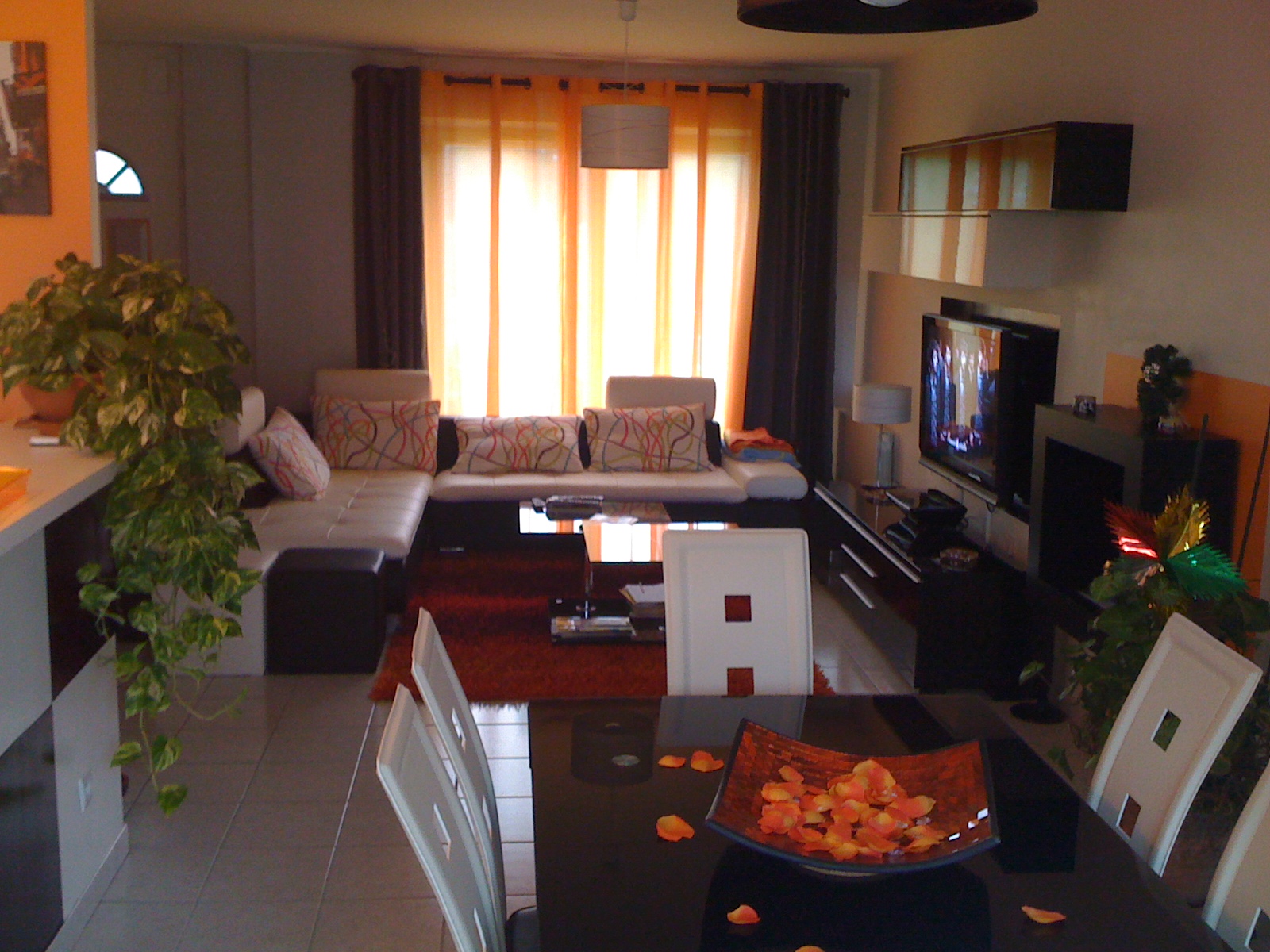 Madame Sabine BOECHAT - photo 3