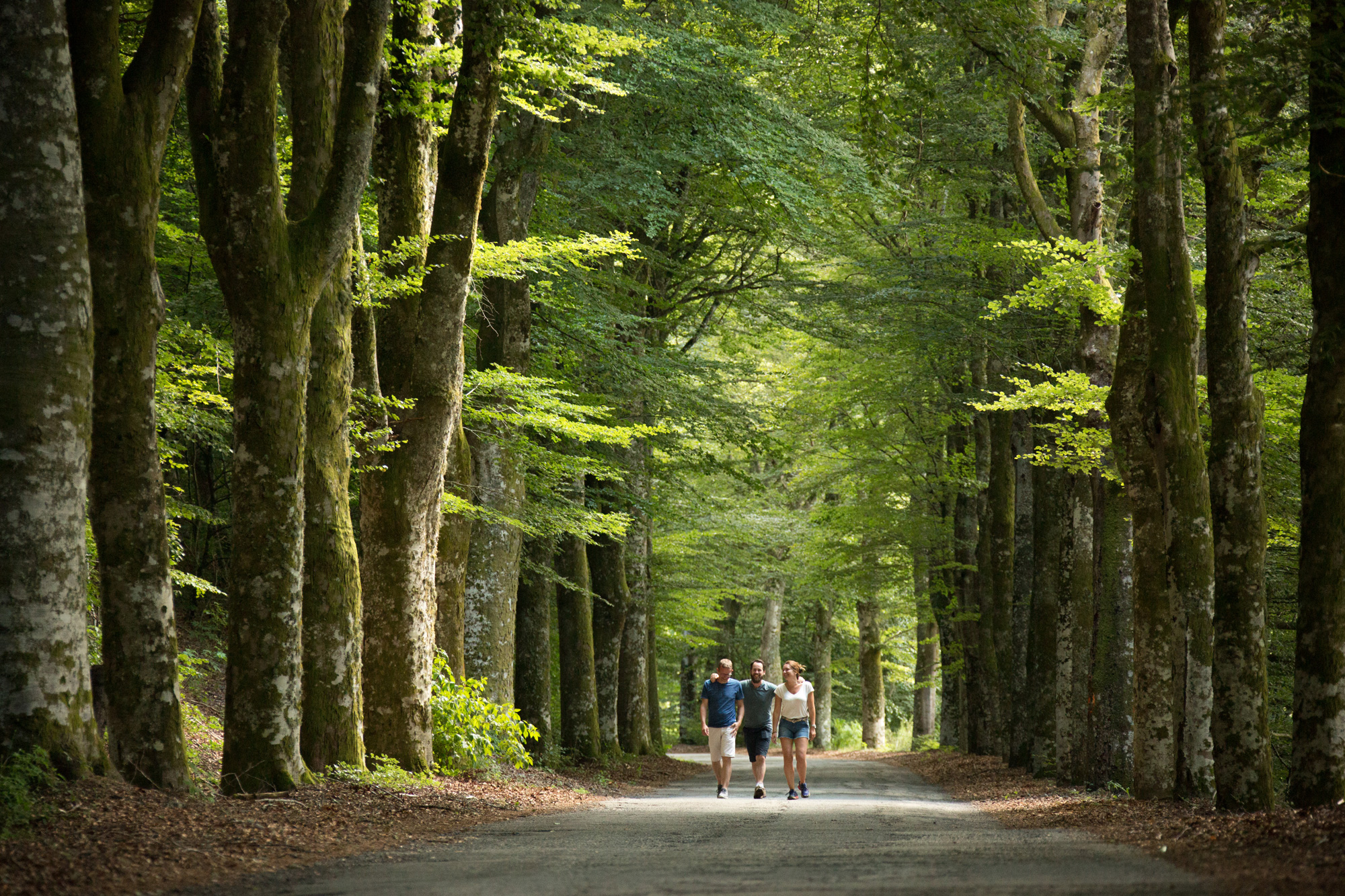 Là-Haut, un Plateau de légendes, Meymac - photo 4