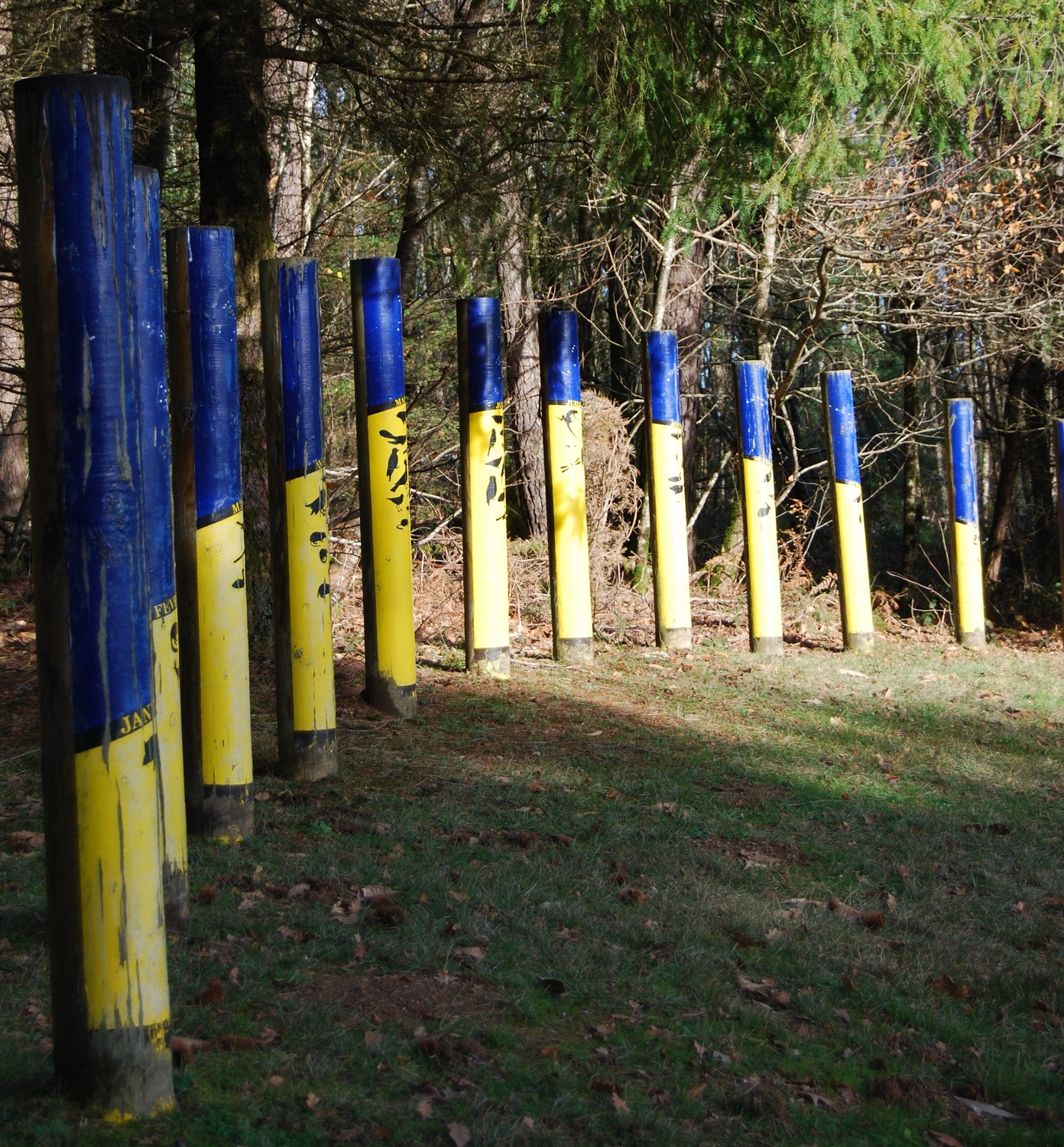 Boucle des Genets et des Pervenches, Mialet - photo 2