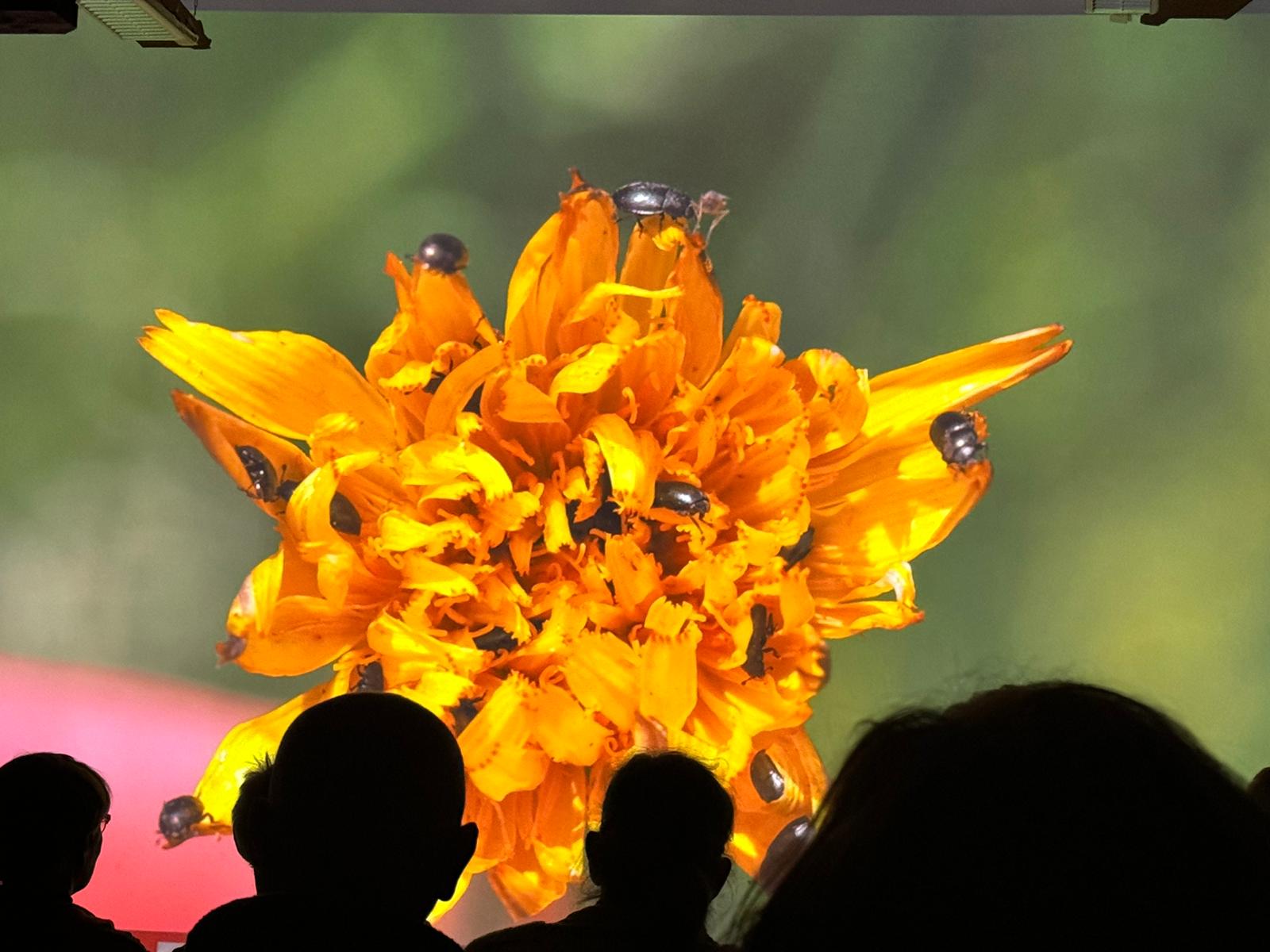 Micro-Folie Saint-Varentais