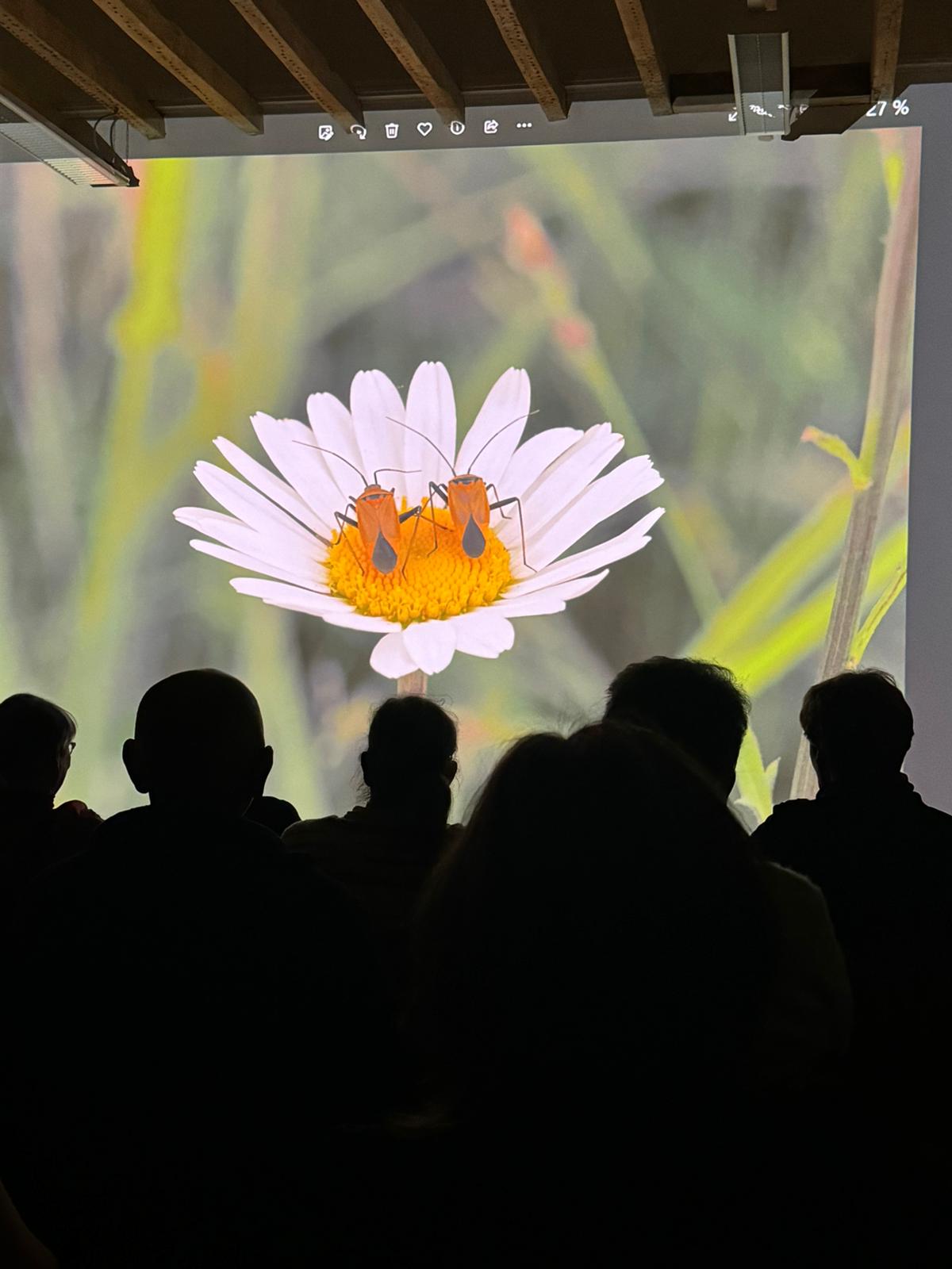 Micro-Folie Saint-Varentais, Saint-Varent - photo 2