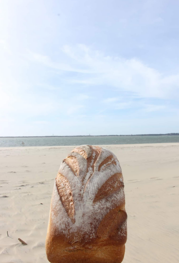 La Mie câline, Arcachon - photo 8