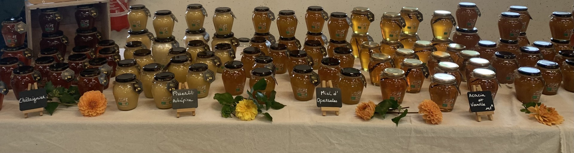 Mellona Périgord, Miel de Loïc - photo 2