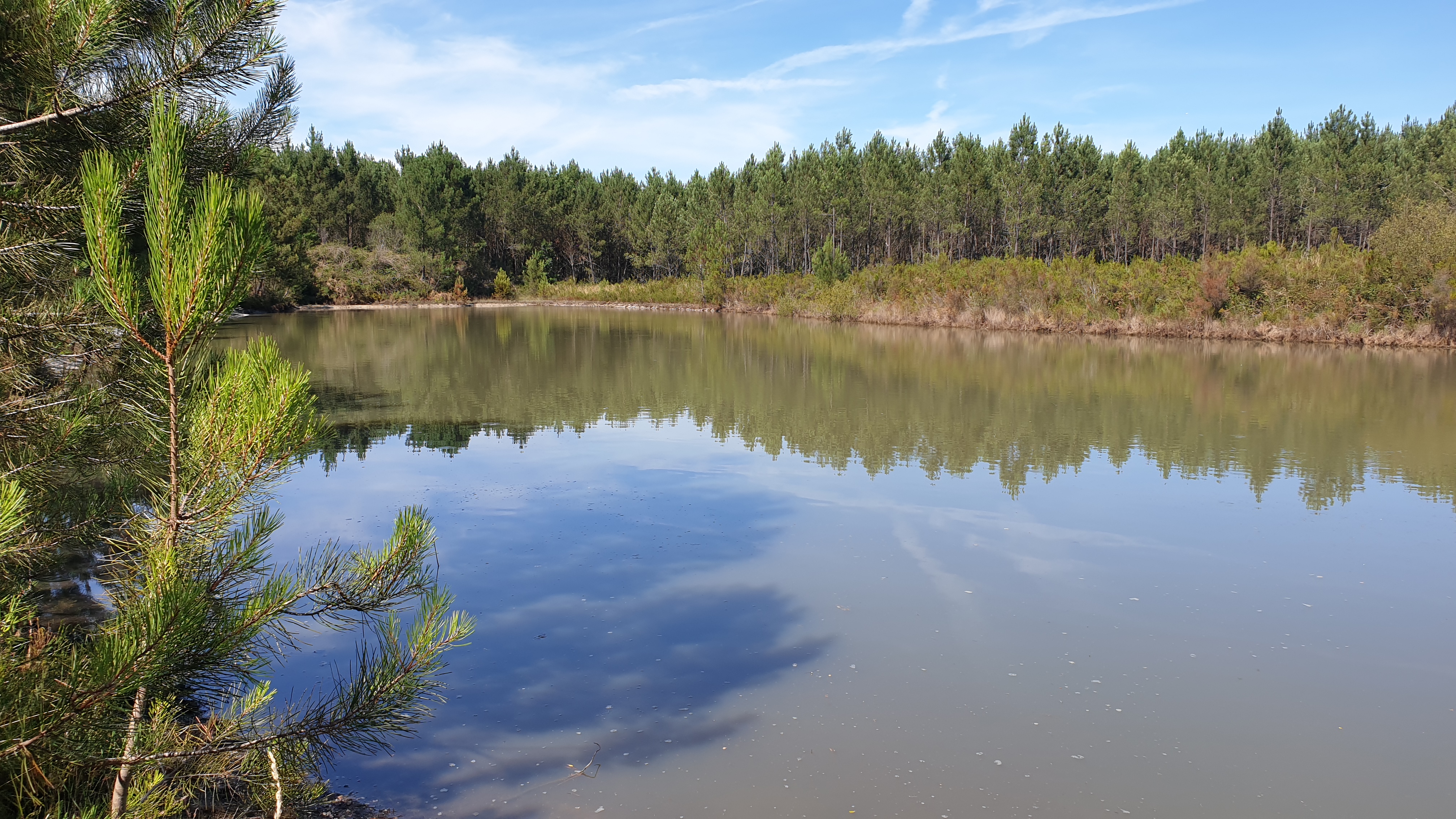 Balade à roulettes : Forêt de Migelane - La balade géologique, Martillac - photo 4