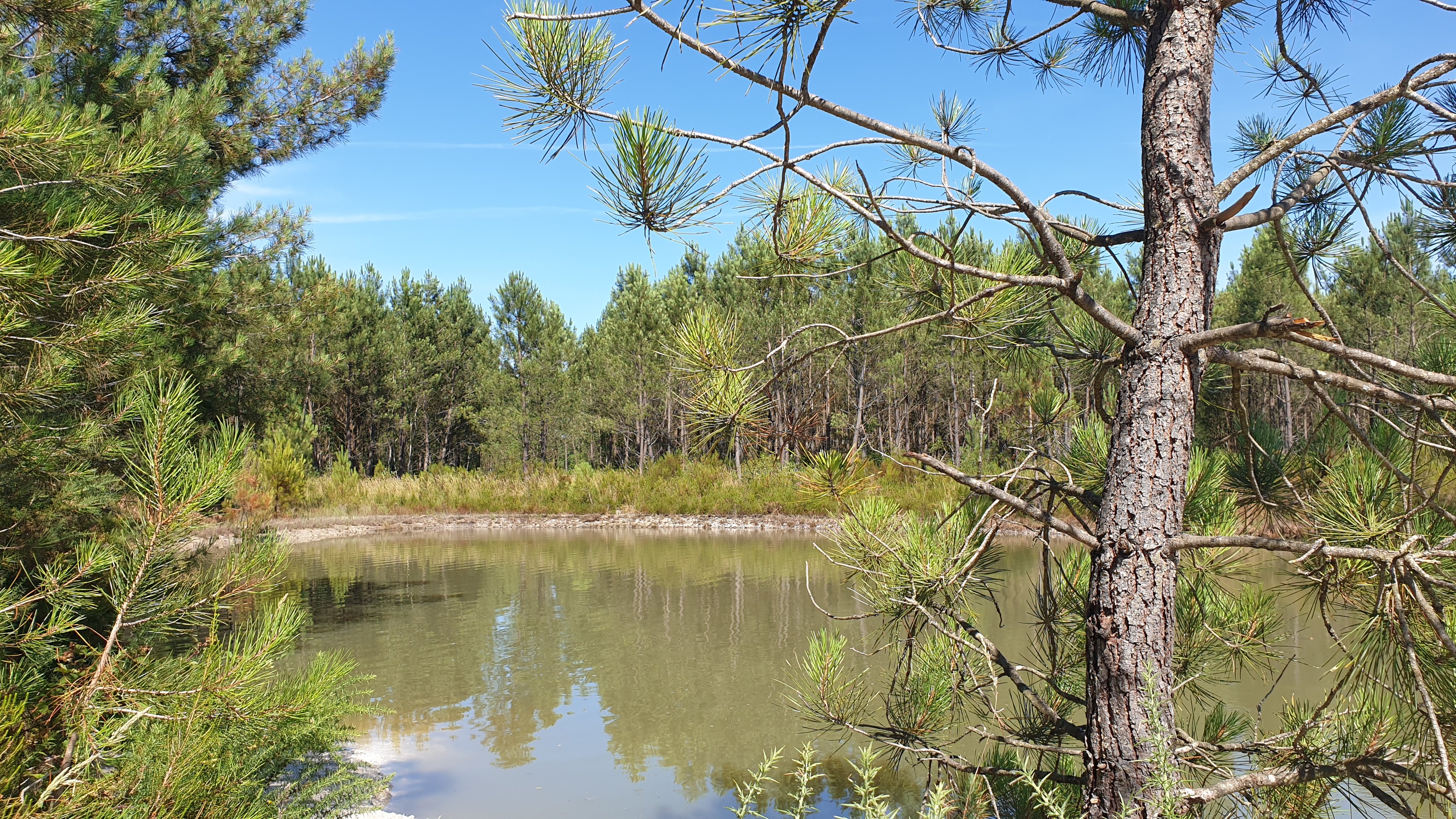 Forêt de Migelane - photo 5