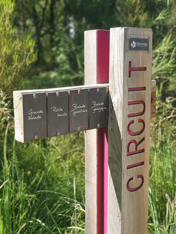 Forêt de Migelane - photo 2