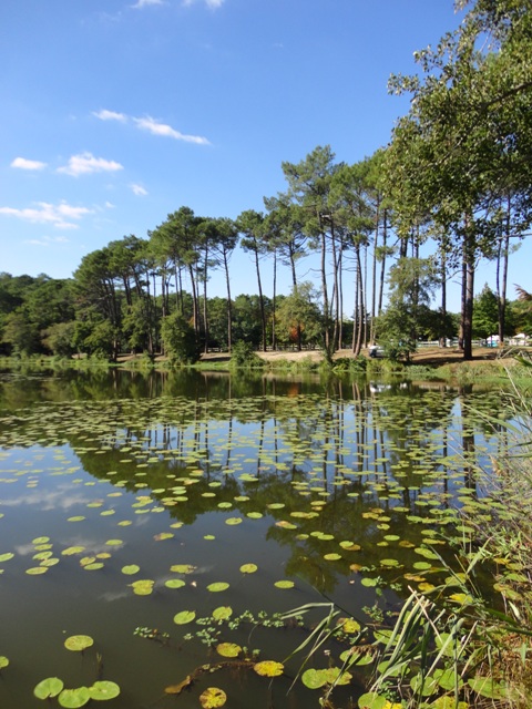 Ponton de pêche de l'étang d'Aureilhan à Mimizan, Mimizan - photo 3