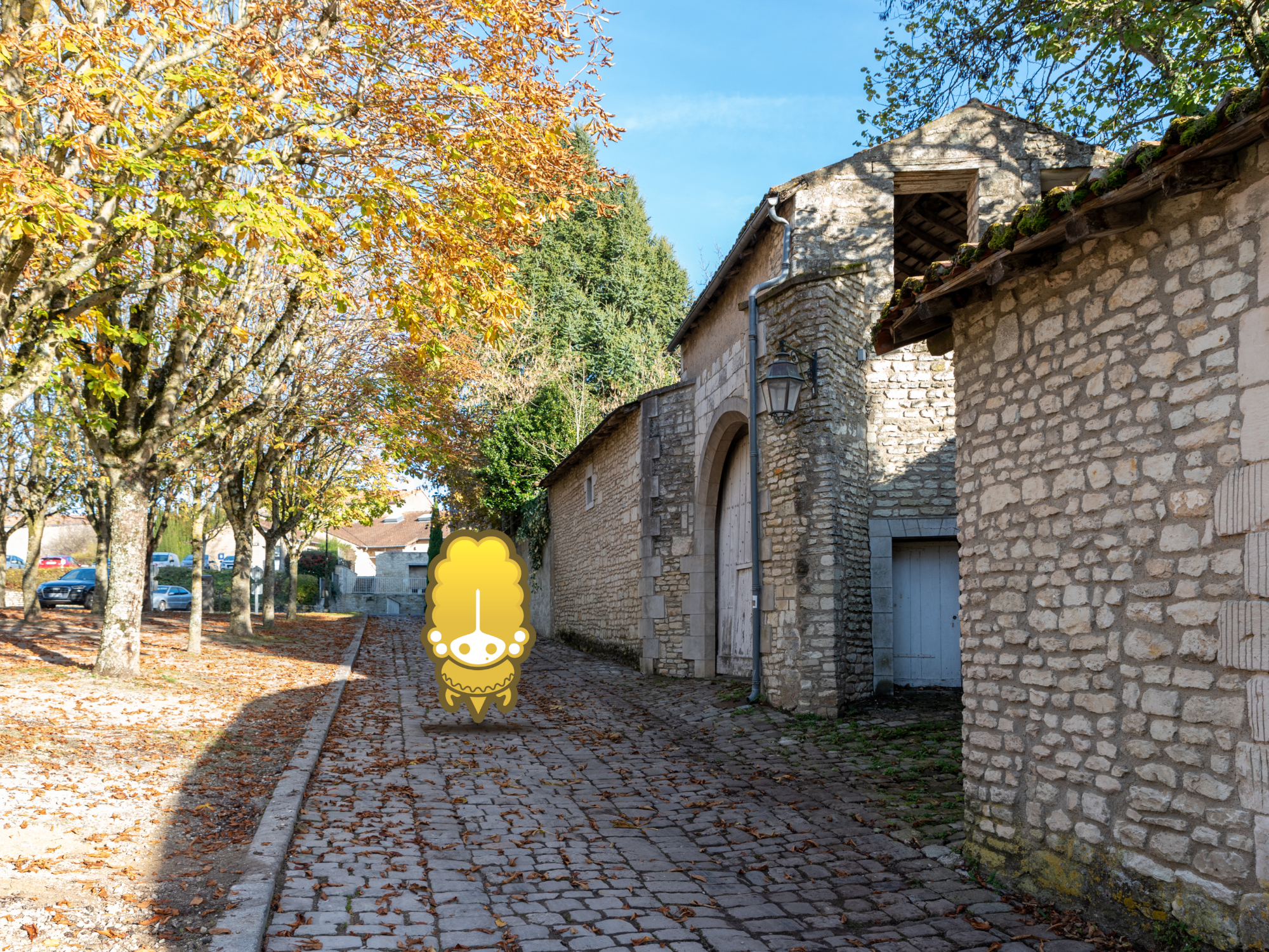 Tèrra Aventura : Trop fortes ces Mirebalaises !