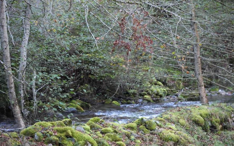 Image de présentation du lieu