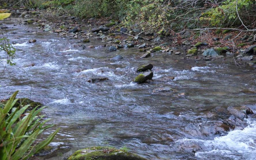 Image de présentation du lieu