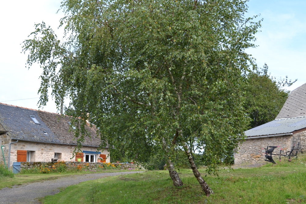 Chez Julie, Hautefage - photo 8