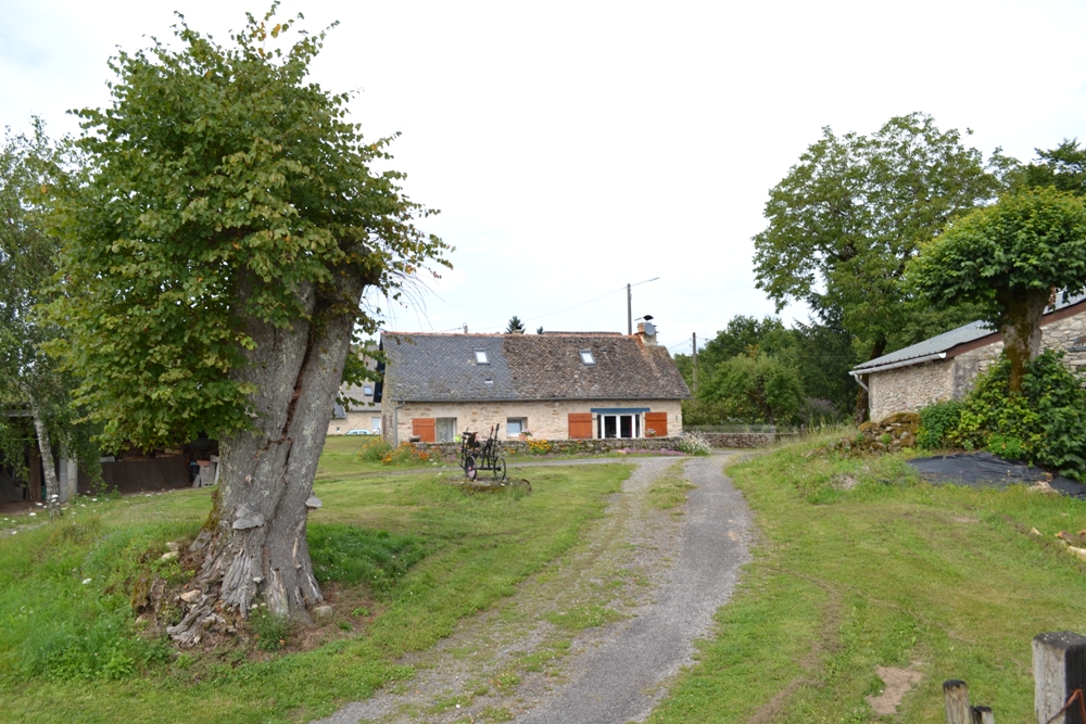 Chez Julie - photo 2