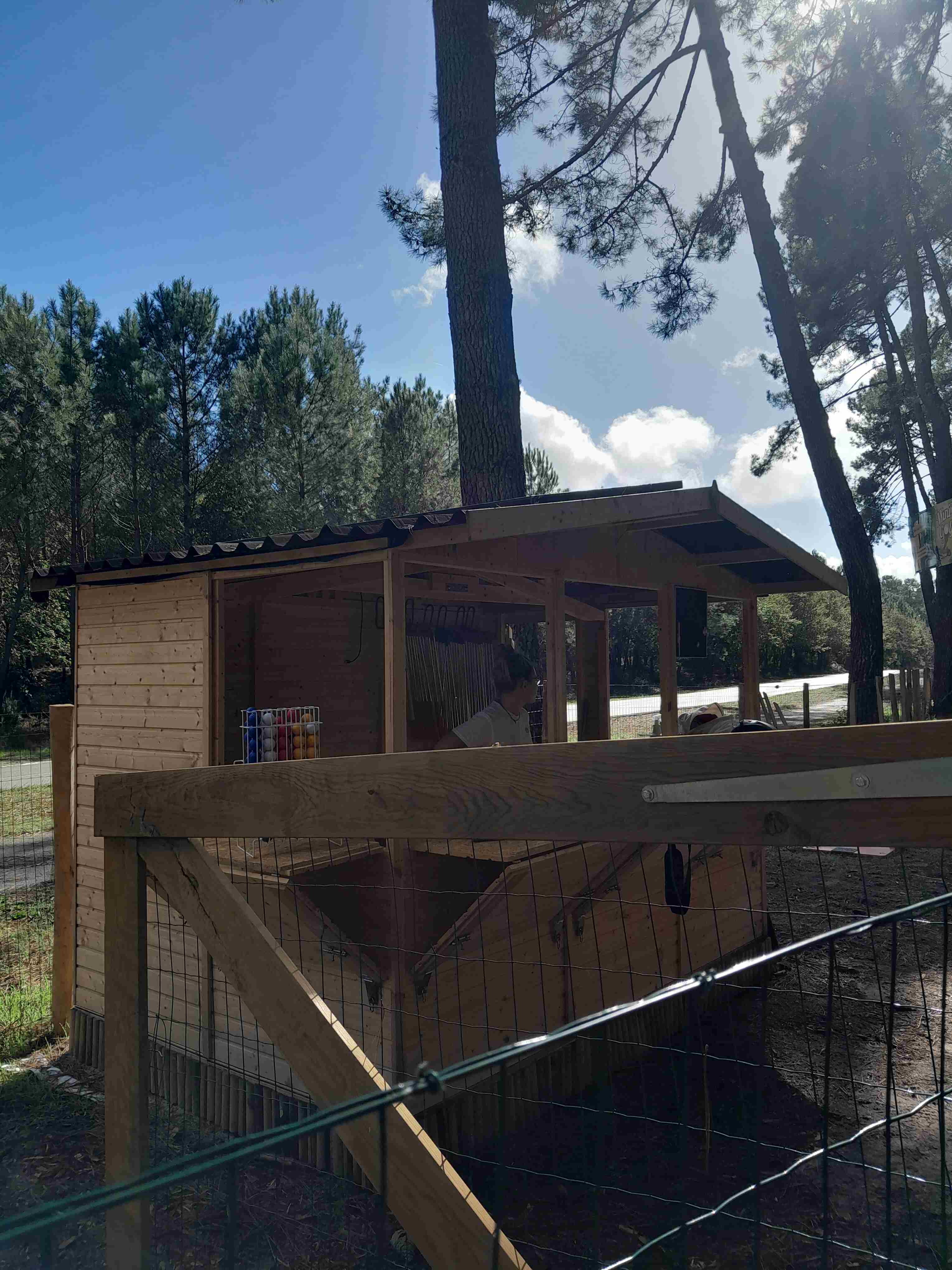 Mini'z Golf - Mini Golf - photo 2