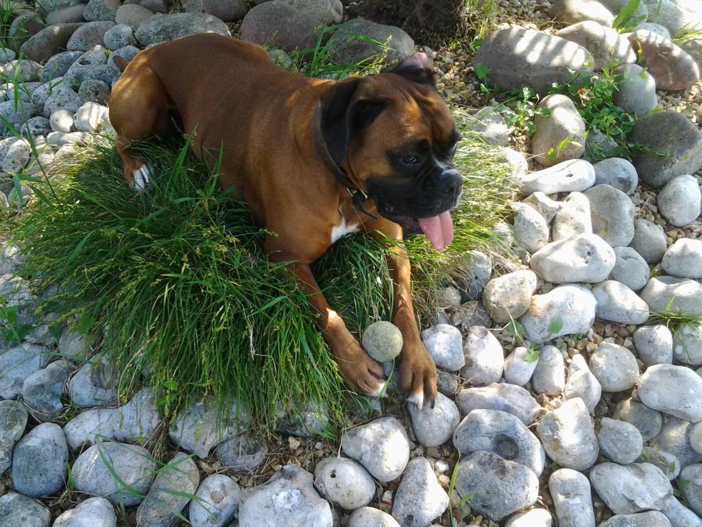 La chambre des amis, Parthenay - photo 2
