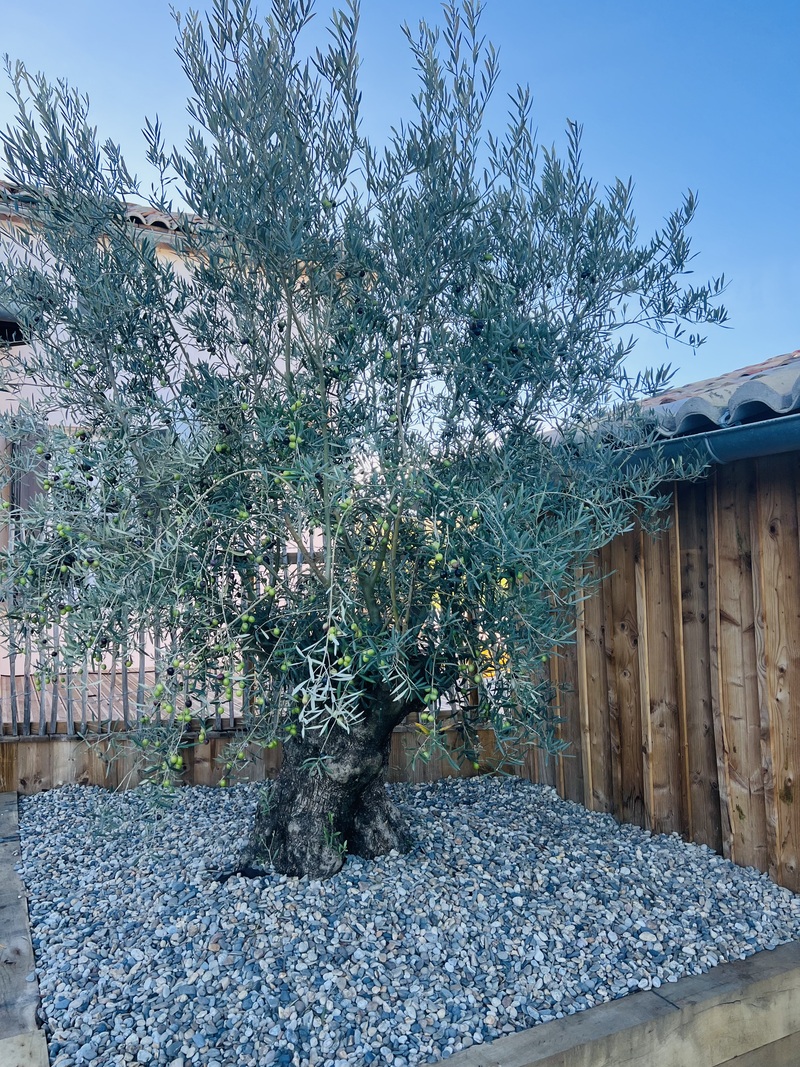 Gîte de la Haute Côte - photo 5