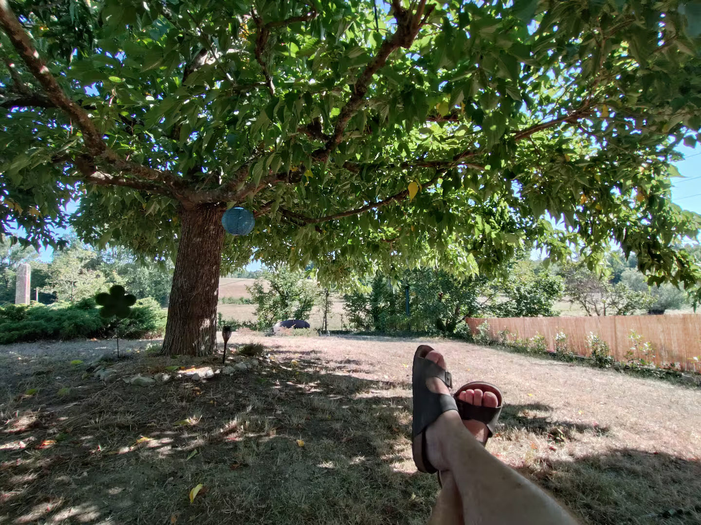 Les Gîtes du Roux, Laussou - photo 17
