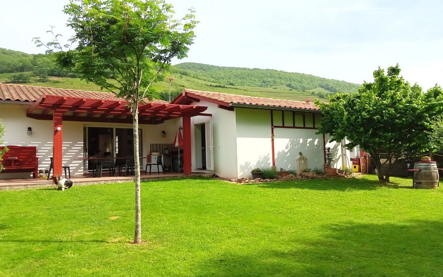 Madame Dominique MONGABURU, Ispoure - photo 6