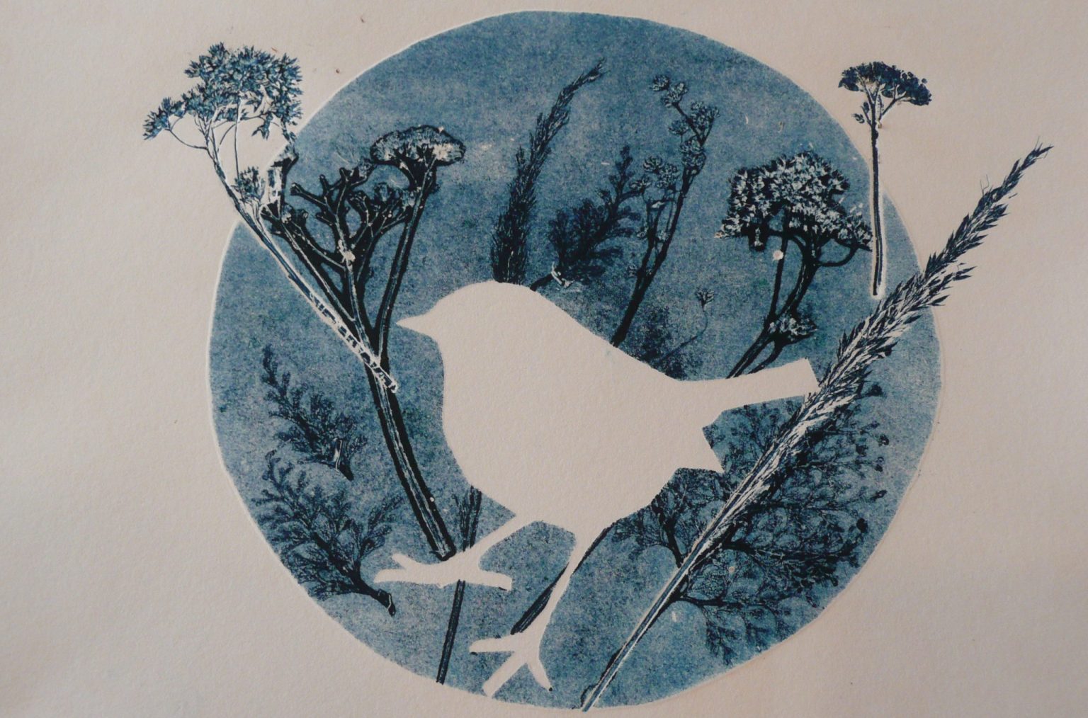Initiation Monotype - Stage de 3h à partir de 6 ans