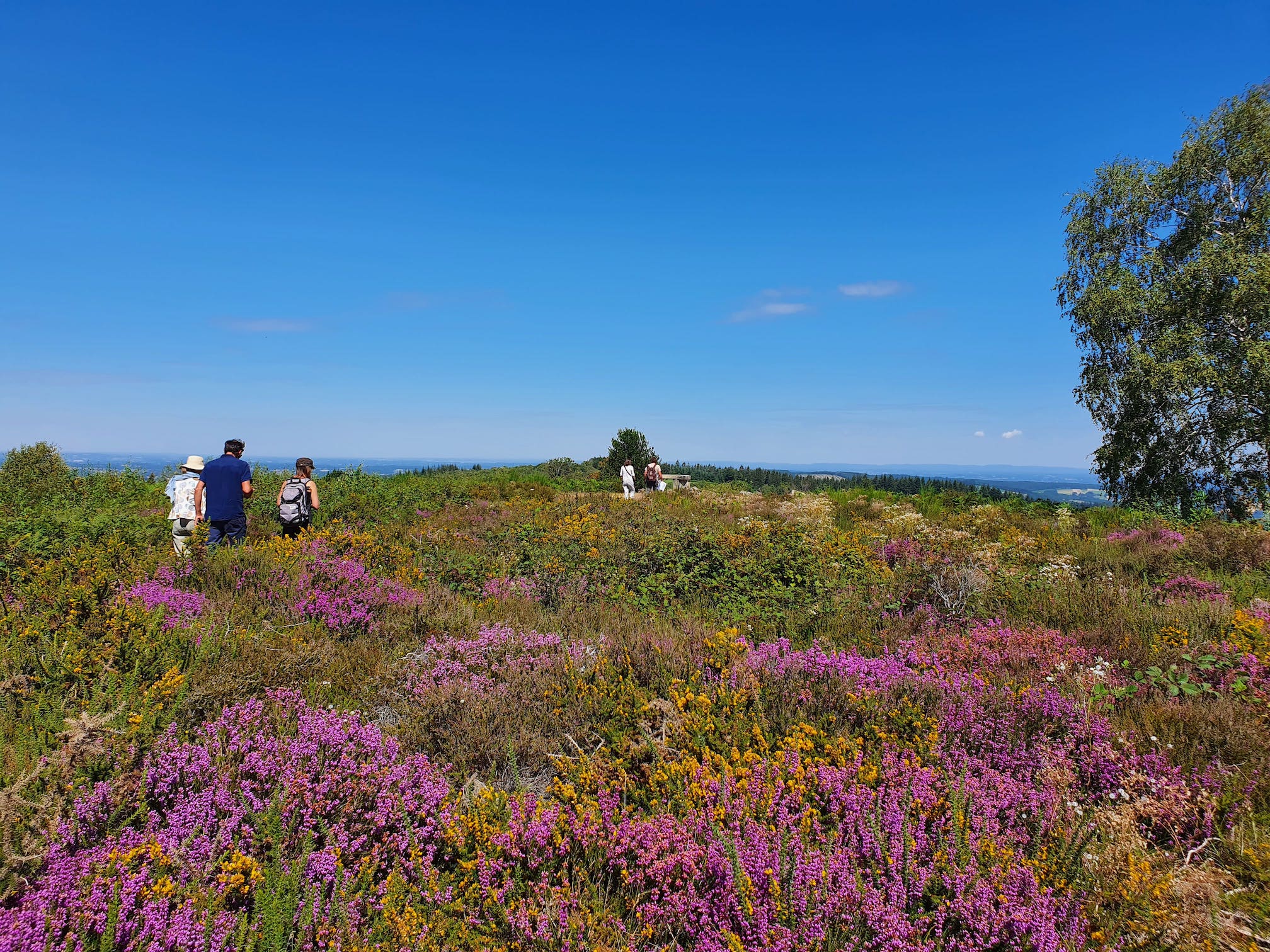 Circuit Le tour du mont Gargan, La Croisille-sur-Briance - photo 2
