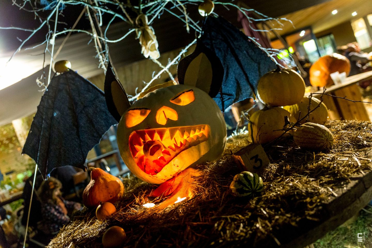 Fête de la citrouille et Halloween, à la Cueillette de l'Aragnon