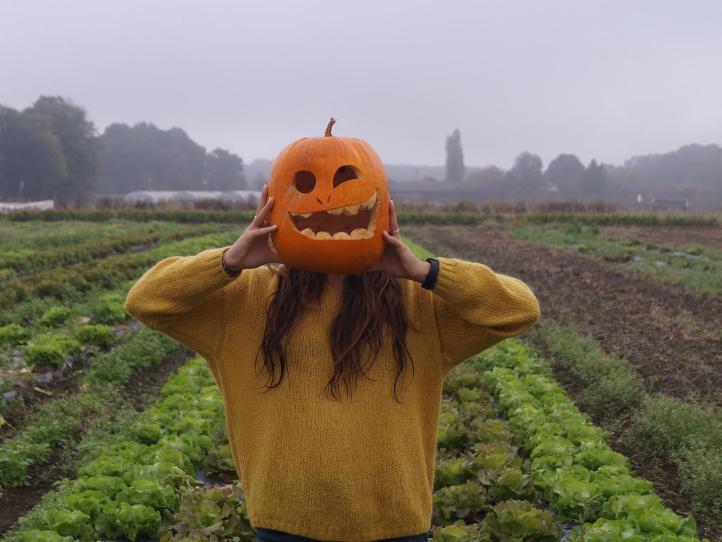 Fête de la citrouille et Halloween, à la Cueillette de l'Aragnon, Montardon - photo 4