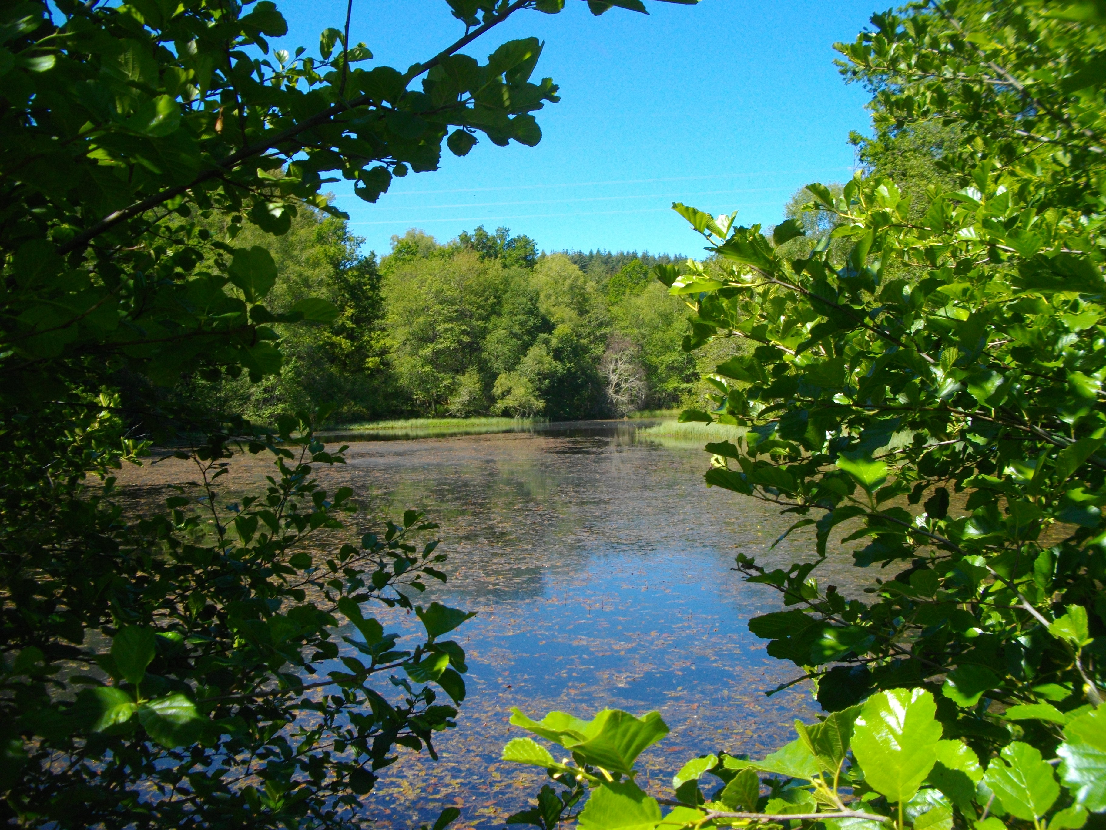 Sur les pas du facteur Gorsse - 13 km, Sornac - photo 4