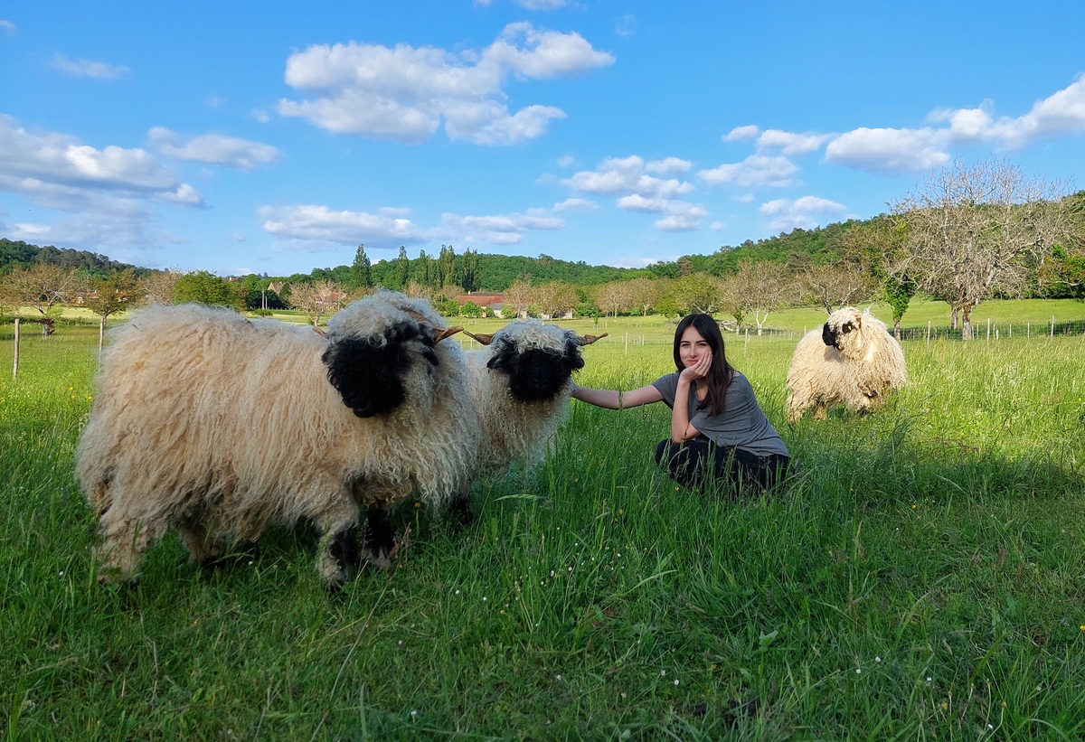 Gite La Ferme des Petites Oreilles