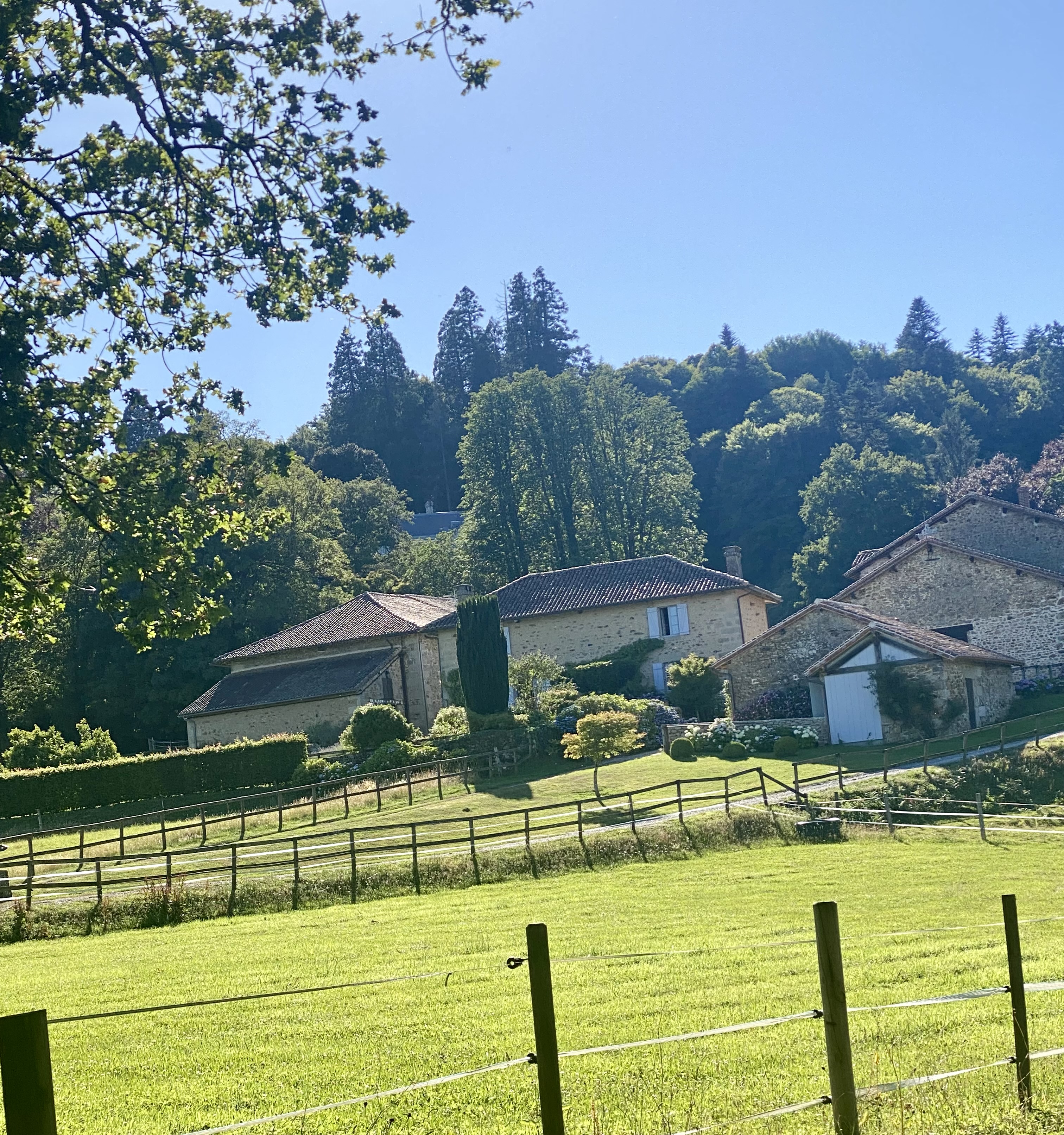 Le gîte Le Domaine de Montmery, Ambazac - photo 8