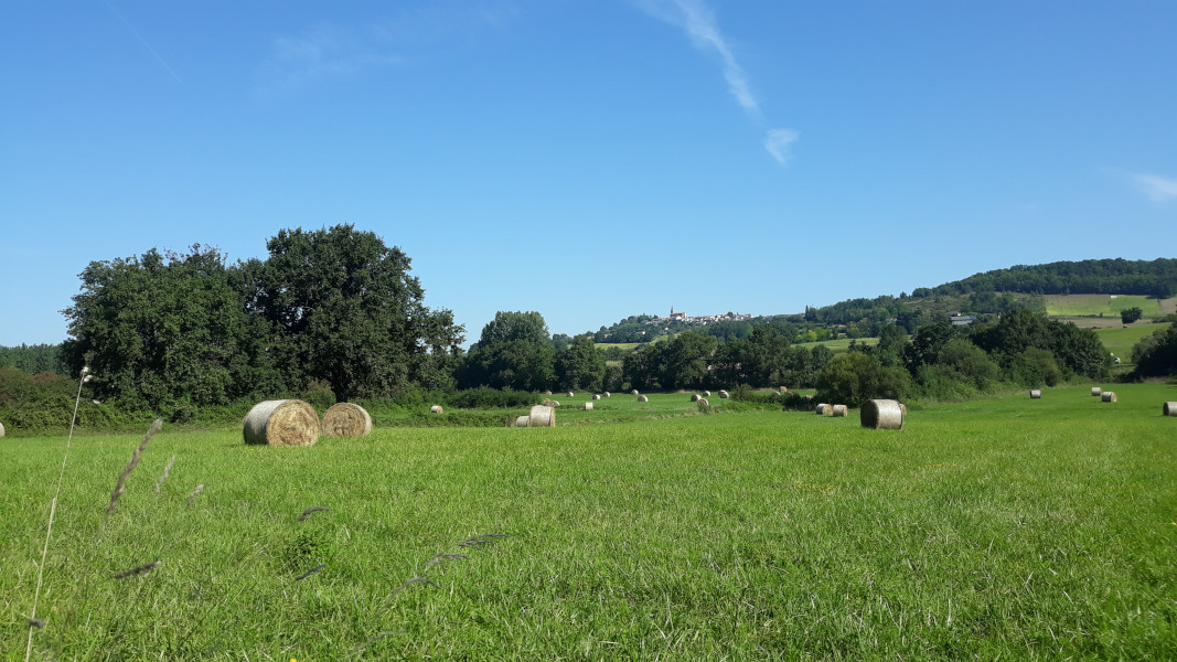 Saint-Sardos/Montpezat, aux origines de la guerre de Cent Ans