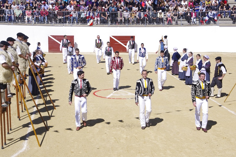 Arènes, Montsoué - photo 5