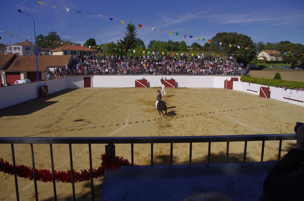Arènes, Montsoué - photo 4