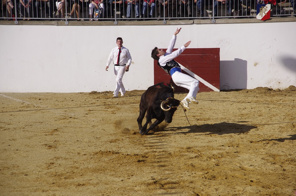 Arènes, Montsoué - photo 11
