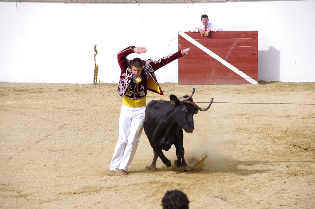 Arènes, Montsoué - photo 10