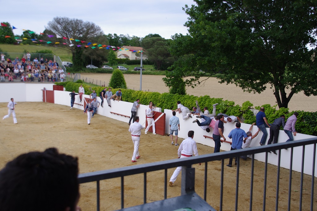 Arènes, Montsoué - photo 12