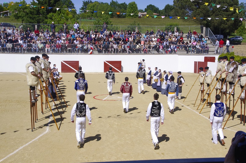 Arènes, Montsoué - photo 8