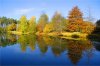 Arborétum du domaine de Moré, Morcenx-la-Nouvelle - photo 4