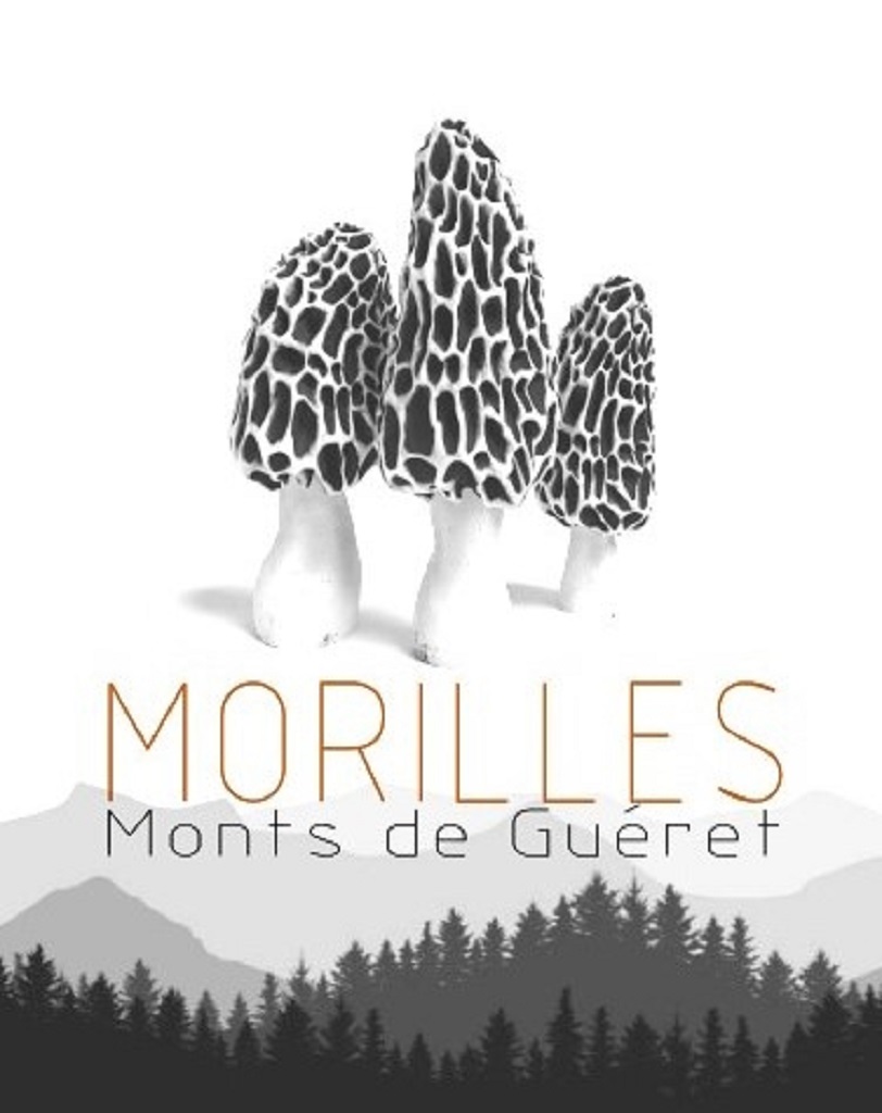 Morilles des monts de guéret