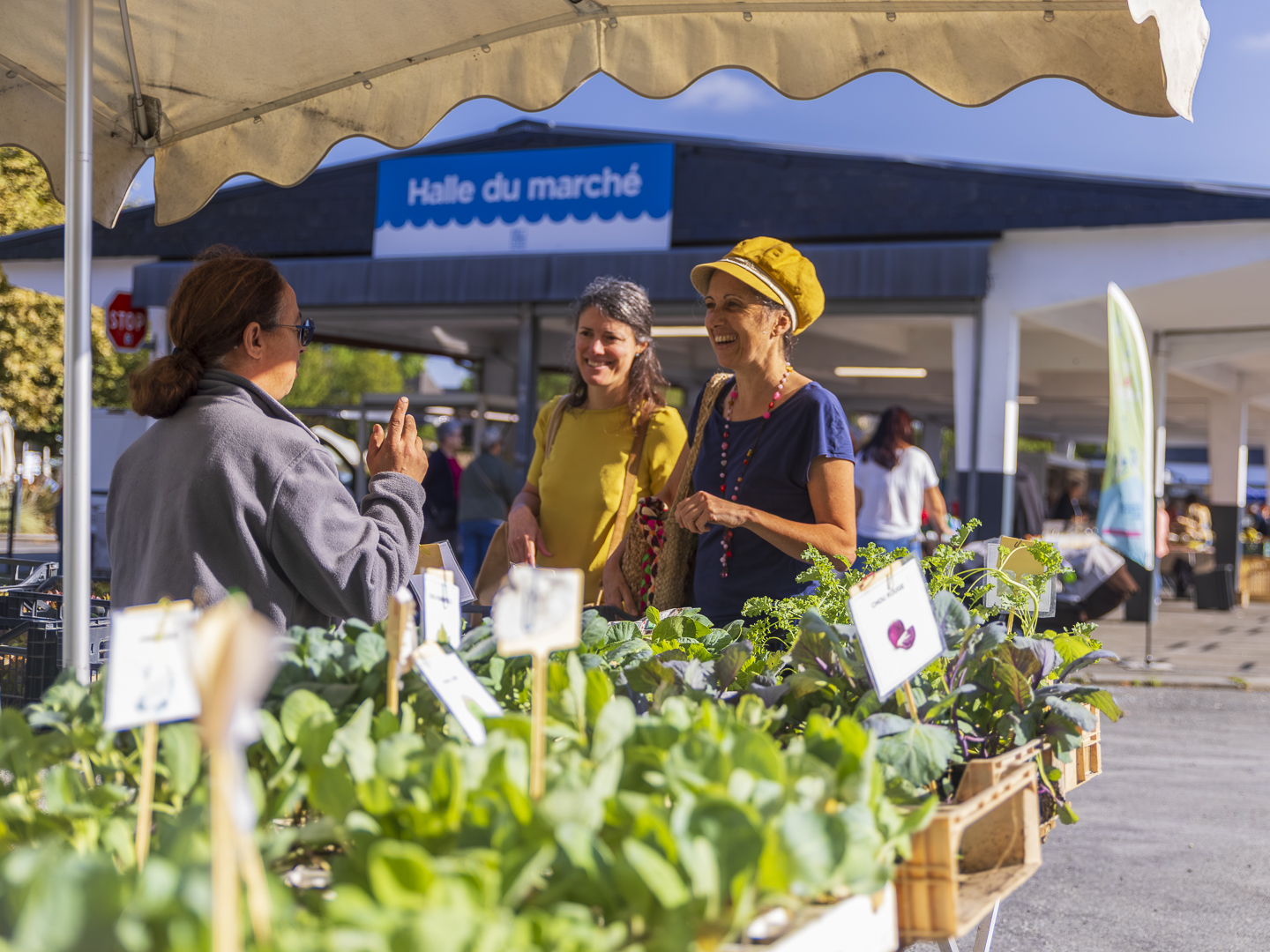 Le stand "tourisme & loisirs" Coteaux Béarn Madiran s’invite au marché !