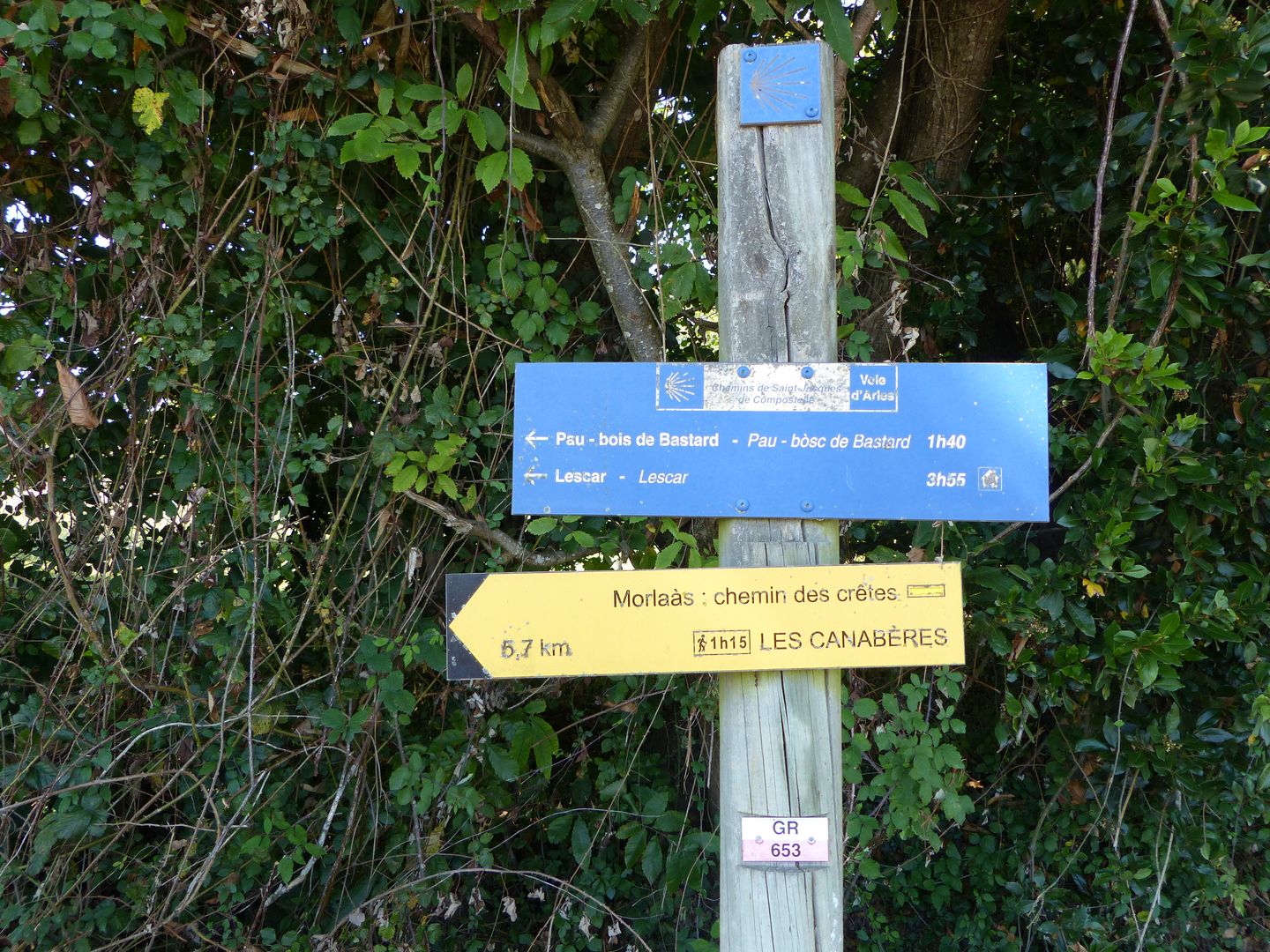 Morlaàs, chemin des crêtes - photo 5