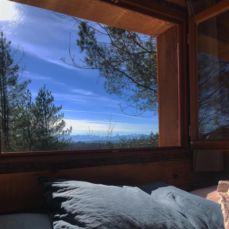 Cabane aux arbres tordus