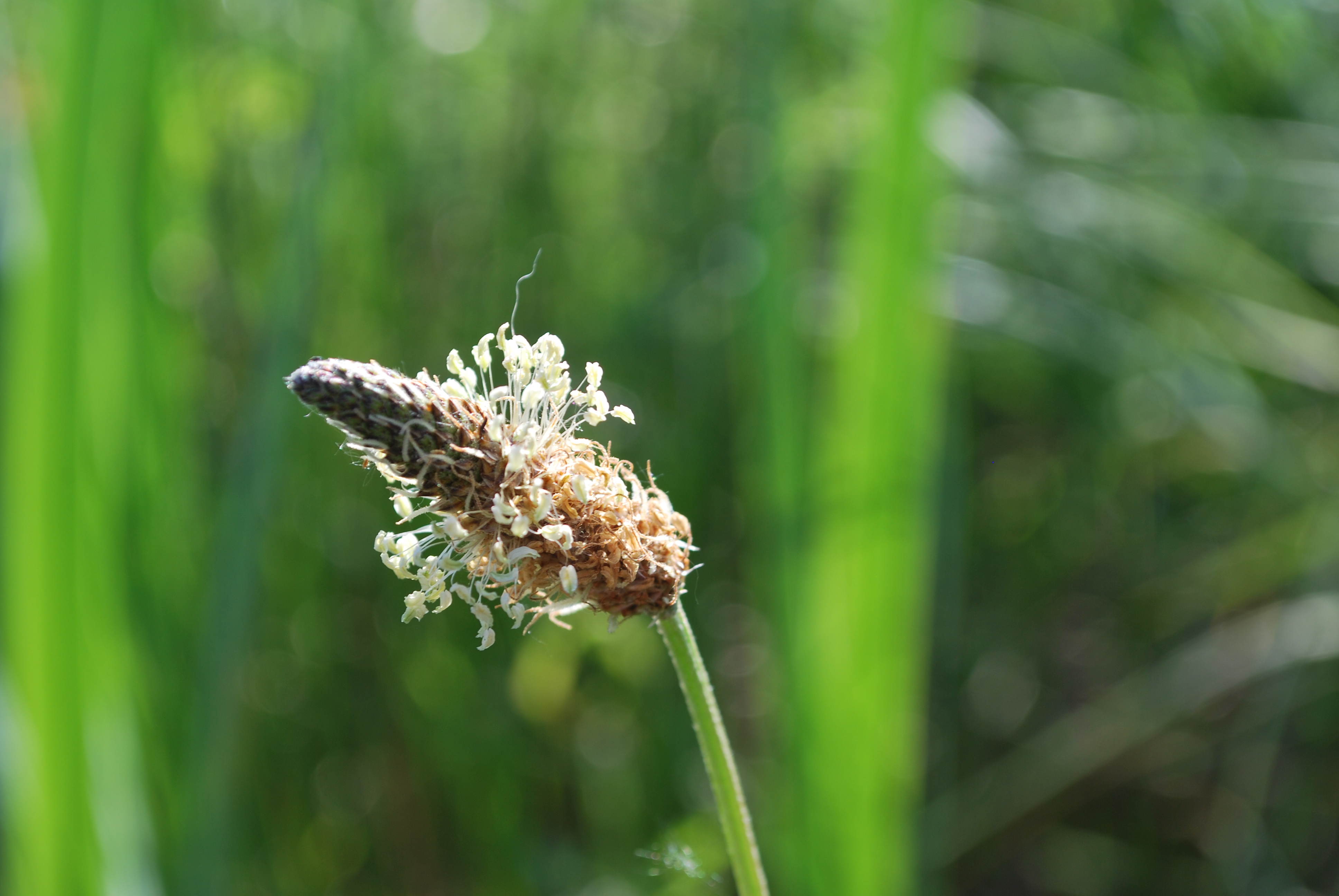 Le site naturel du Moron - photo 3