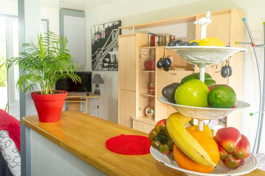 Motels Beauséjour du n°1 au n°8, Eugénie-les-Bains - photo 12