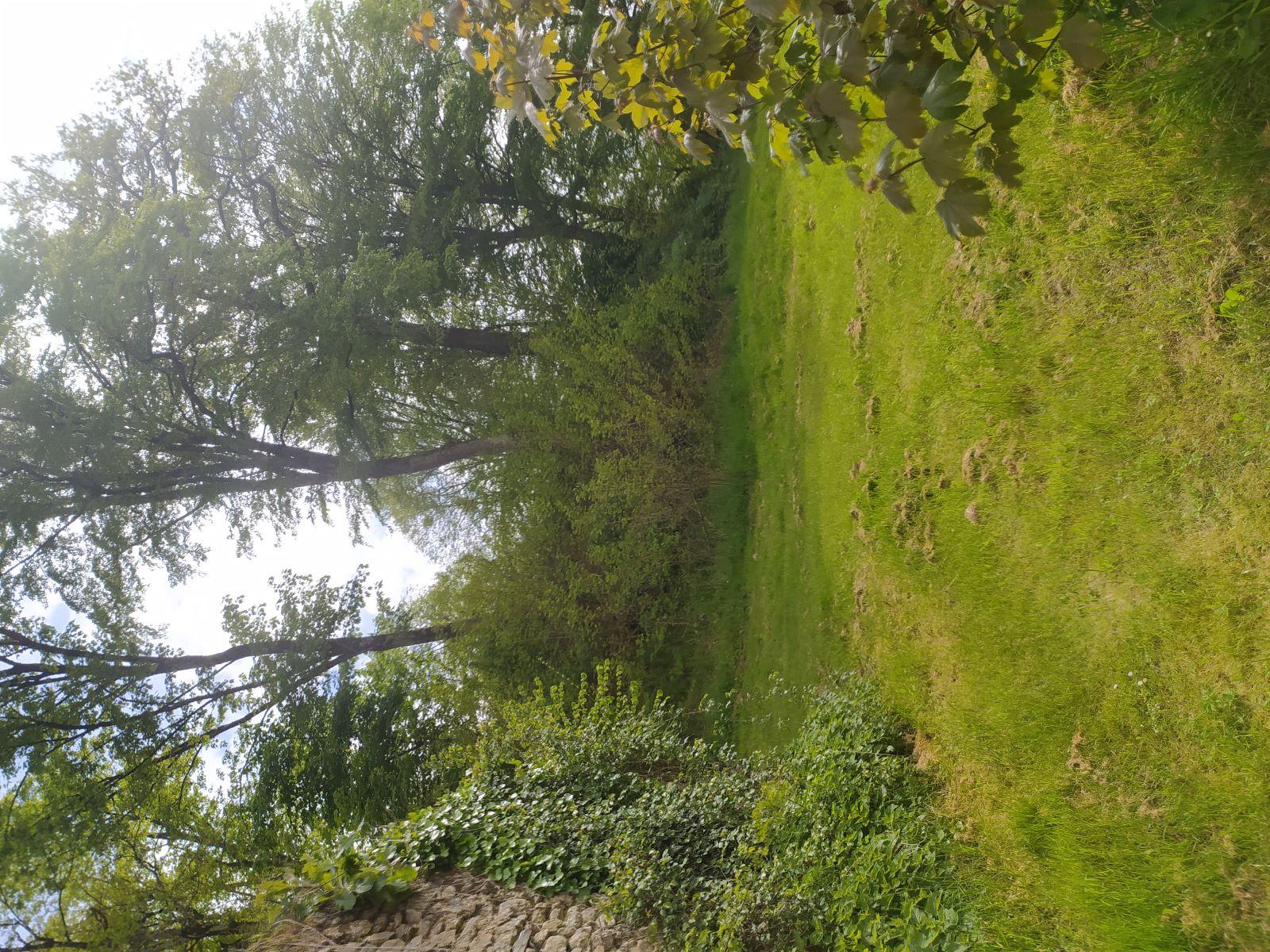 Motte féodale, Mortemart